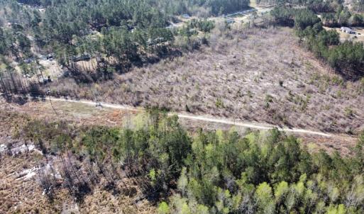 Photo #10 of Off Pee Dee Church Road, Dillon, SC 29.6 acres