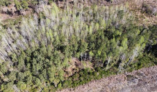 Photo #14 of Off Pee Dee Church Road, Dillon, SC 29.6 acres