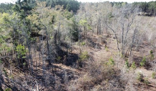 Photo #17 of Off Pee Dee Church Road, Dillon, SC 29.6 acres