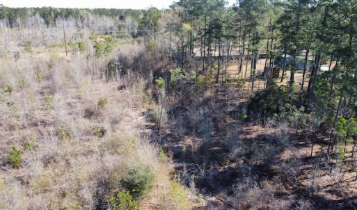 Photo #18 of Off Pee Dee Church Road, Dillon, SC 29.6 acres
