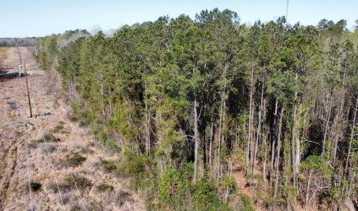Photo #20 of Off Pee Dee Church Road, Dillon, SC 29.6 acres