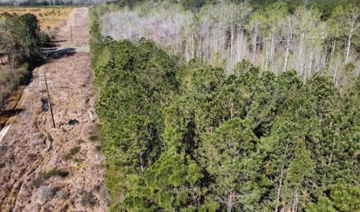 Photo #21 of Off Pee Dee Church Road, Dillon, SC 29.6 acres