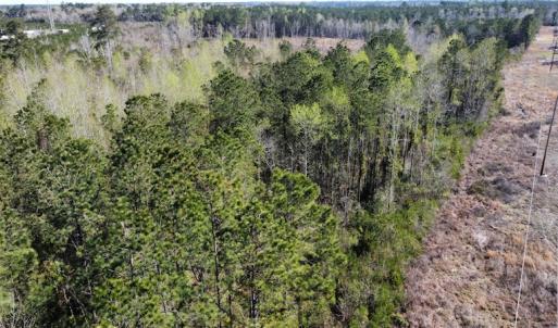 Photo #22 of Off Pee Dee Church Road, Dillon, SC 29.6 acres