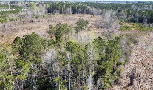 Photo #23 of Off Pee Dee Church Road, Dillon, SC 29.6 acres