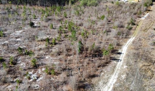 Photo #24 of Off Pee Dee Church Road, Dillon, SC 29.6 acres