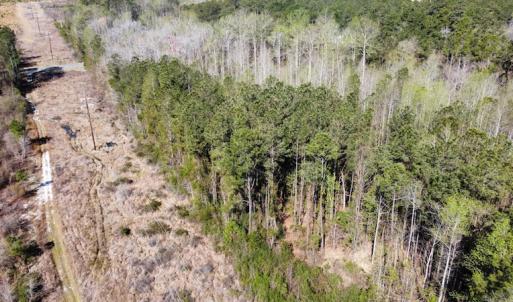 Photo #25 of Off Pee Dee Church Road, Dillon, SC 29.6 acres