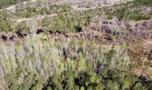 Photo #26 of Off Pee Dee Church Road, Dillon, SC 29.6 acres