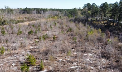 Photo #30 of Off Pee Dee Church Road, Dillon, SC 29.6 acres