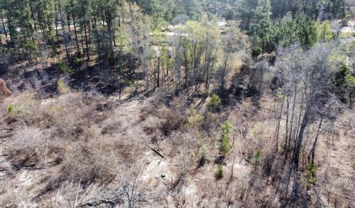 Photo #31 of Off Pee Dee Church Road, Dillon, SC 29.6 acres