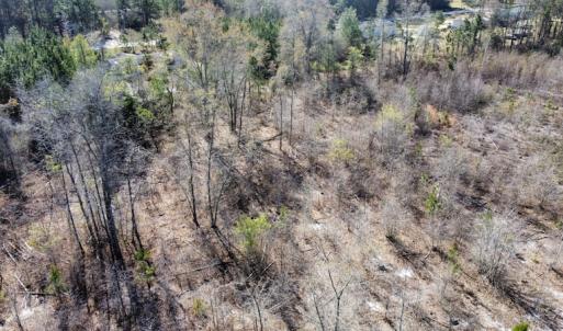 Photo #32 of Off Pee Dee Church Road, Dillon, SC 29.6 acres