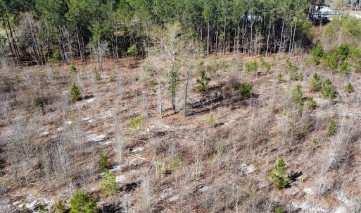 Photo #33 of Off Pee Dee Church Road, Dillon, SC 29.6 acres