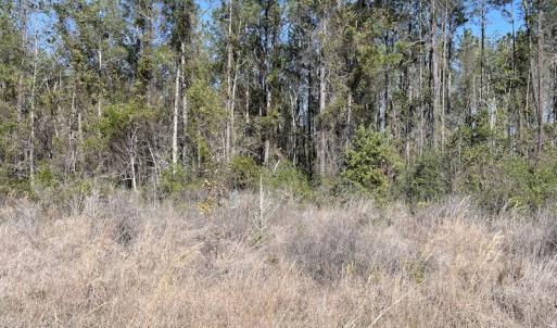 Photo #34 of Off Pee Dee Church Road, Dillon, SC 29.6 acres