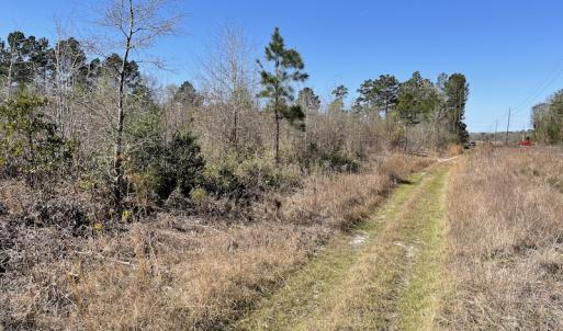 Photo #35 of Off Pee Dee Church Road, Dillon, SC 29.6 acres