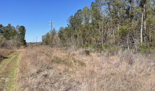 Photo #36 of Off Pee Dee Church Road, Dillon, SC 29.6 acres