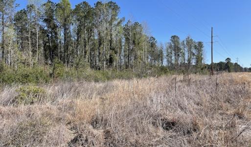 Photo #37 of Off Pee Dee Church Road, Dillon, SC 29.6 acres