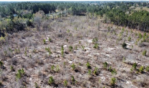 Photo #2 of Off Pee Dee Church Road, Dillon, SC 29.6 acres