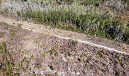 Photo #3 of Off Pee Dee Church Road, Dillon, SC 29.6 acres