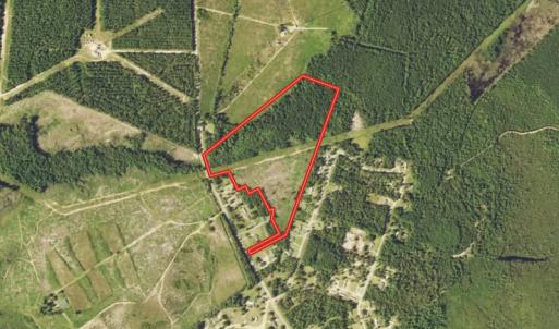Photo #1 of Off Pee Dee Church Road, Dillon, SC 29.6 acres