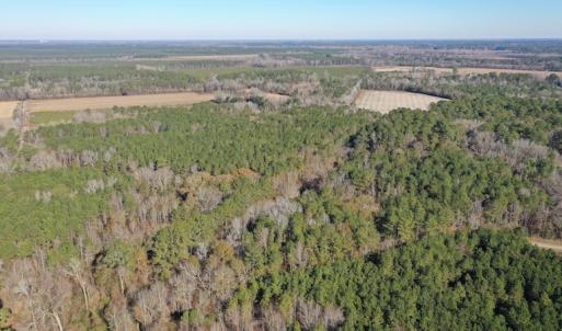 Photo #9 of SOLD property in Off Kansas Road, Dover, NC 4.0 acres
