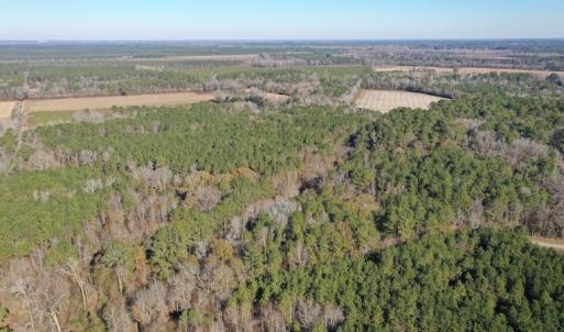Photo #10 of SOLD property in Off Kansas Road, Dover, NC 4.0 acres