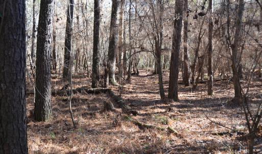 Photo #11 of SOLD property in Off Kansas Road, Dover, NC 4.0 acres