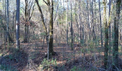 Photo #12 of SOLD property in Off Kansas Road, Dover, NC 4.0 acres