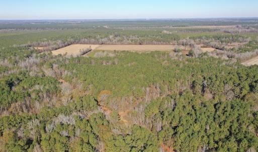 Photo #2 of SOLD property in Off Kansas Road, Dover, NC 4.0 acres