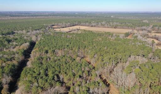 Photo #3 of SOLD property in Off Kansas Road, Dover, NC 4.0 acres