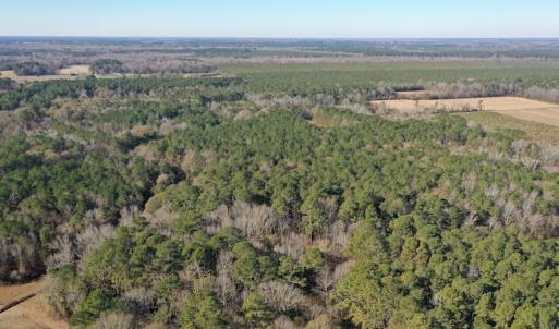 Photo #4 of SOLD property in Off Kansas Road, Dover, NC 4.0 acres