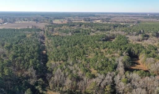 Photo #5 of SOLD property in Off Kansas Road, Dover, NC 4.0 acres