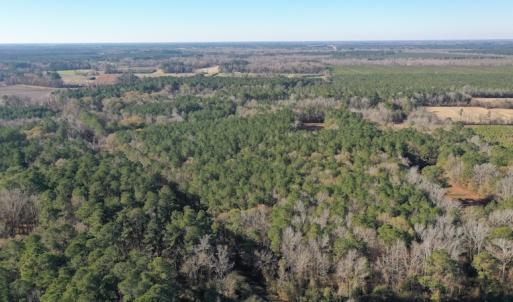 Photo #6 of SOLD property in Off Kansas Road, Dover, NC 4.0 acres