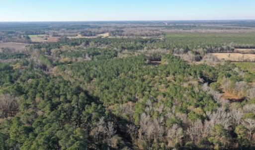 Photo #6 of SOLD property in Off Kansas Road, Dover, NC 4.0 acres