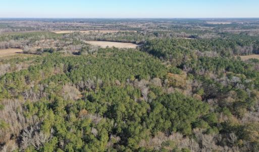 Photo #7 of SOLD property in Off Kansas Road, Dover, NC 4.0 acres