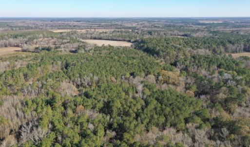 Photo #8 of SOLD property in Off Kansas Road, Dover, NC 4.0 acres