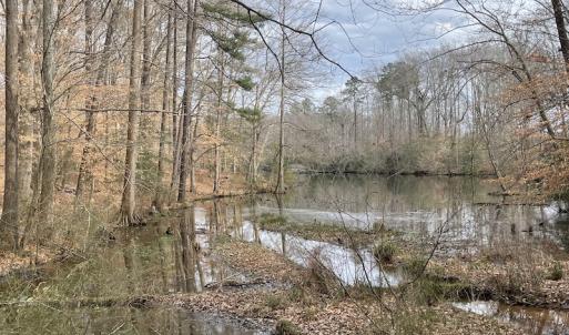 Photo #12 of Off Murphy Mill Road, Windsor, VA 48.8 acres