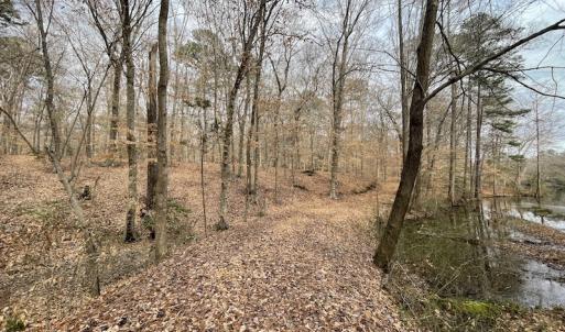 Photo #13 of Off Murphy Mill Road, Windsor, VA 48.8 acres