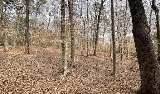 Photo #15 of Off Murphy Mill Road, Windsor, VA 48.8 acres