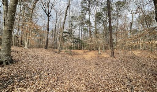 Photo #16 of Off Murphy Mill Road, Windsor, VA 48.8 acres