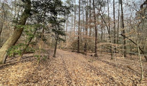 Photo #19 of Off Murphy Mill Road, Windsor, VA 48.8 acres