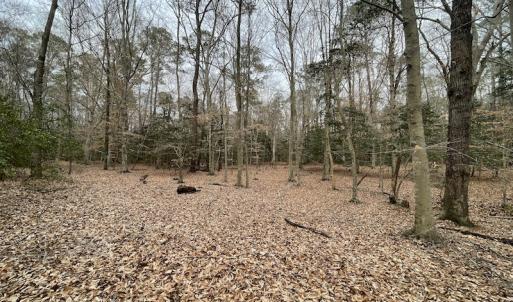 Photo #20 of Off Murphy Mill Road, Windsor, VA 48.8 acres