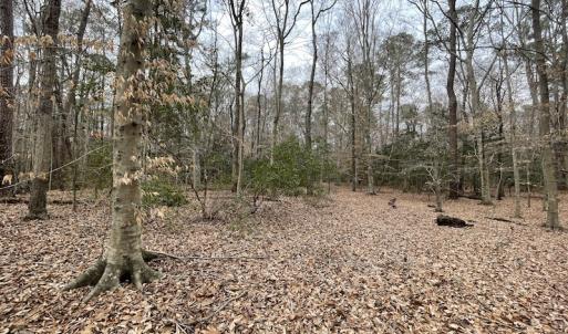 Photo #21 of Off Murphy Mill Road, Windsor, VA 48.8 acres