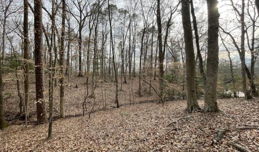 Photo #22 of Off Murphy Mill Road, Windsor, VA 48.8 acres