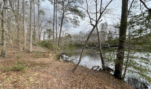 Photo #24 of Off Murphy Mill Road, Windsor, VA 48.8 acres