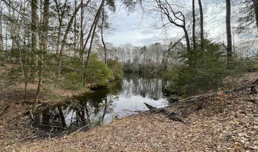Photo #26 of Off Murphy Mill Road, Windsor, VA 48.8 acres