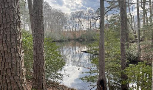 Photo #27 of Off Murphy Mill Road, Windsor, VA 48.8 acres