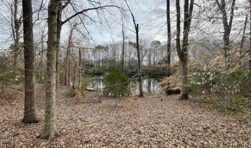 Photo #28 of Off Murphy Mill Road, Windsor, VA 48.8 acres