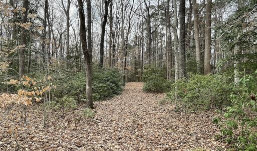 Photo #29 of Off Murphy Mill Road, Windsor, VA 48.8 acres