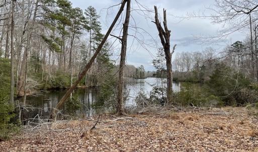 Photo #31 of Off Murphy Mill Road, Windsor, VA 48.8 acres