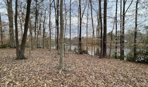 Photo #33 of Off Murphy Mill Road, Windsor, VA 48.8 acres
