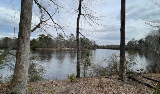 Photo #34 of Off Murphy Mill Road, Windsor, VA 48.8 acres